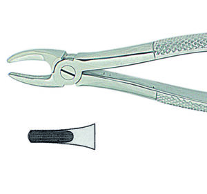 Zahnzange -engl.- Karo Haft fig.2
